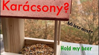 Scareácsony és madarak