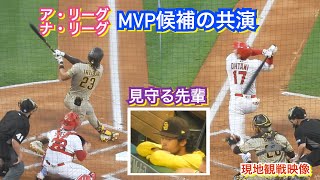 大谷翔平とタティスJr.とダルビッシュ有 そしてイギーのハグ♥️【現地映像】