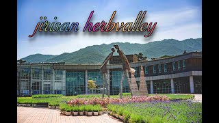 지리산허브밸리 jirisanherbvalley 남원가볼만한곳 허브  남원여행 허브밸리 Namwon Travel