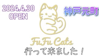 4月30日オープン！神戸元町 猫カフェ Fu Fu Catsさんに行ってきました！