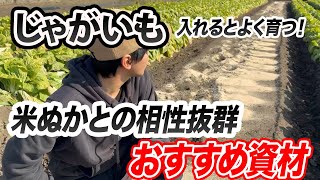 【じゃがいも】これを入れると、しっかり育つ！相性がよすぎる資材