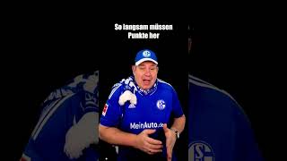 FC Schalke 04 vs. RB Leipzig  #schalkesopa #sänger #gemeinsam #short #königsblau #s04 #rbl #leibzig