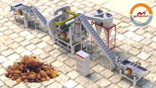 Automatic raisin destoner machine auto raisins pre-processing line