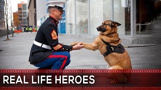REAL LIFE HEROES - Faith in Humanity Restored 🙏  Part 5