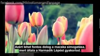 Abraham Hicks szenzációs sikertörténet