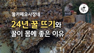 꿀카페유사장-24년 벌꿀채밀과 꿀의 좋은 점