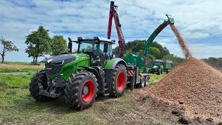 Fendt 1042 Vario | Holzhäckseln 2024