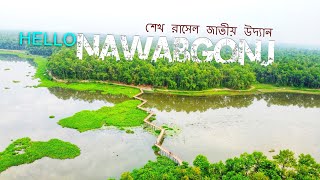 Nawabgonj khather bridge । উত্তরবঙ্গের সবচেয়ে অ্যামাজন বন ও বড় কাঠের ব্রিজ । শেখ রাসেল উদ্যান