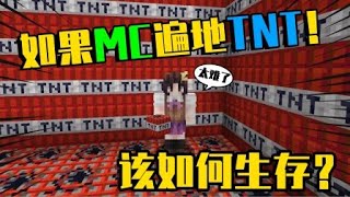 我的世界MOD：假如MC妳碰到所有方塊都變成TNT，那妳能生存多久