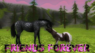 Friends Forever: Wildcraft Music Video