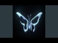 Butterfly Thrills