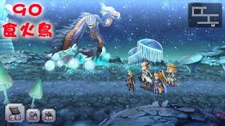 【吸管】Another Eden：穿越時空的貓｜邂逅｜90食火鳥