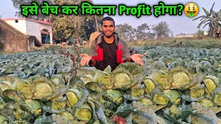 Harvesting This Fresh Cabbage And Sell In Market !! Village Farmer life