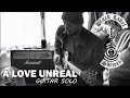 Black Label Society / Zakk Wylde - A Love Unreal (Solo) :by Gaku