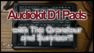 AudioKit Digital D1 plays nicely with The Grandeur and Sunrizer