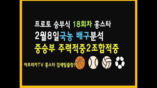 2월8일 프로토 승부식 18회차 국농분석 배구분석