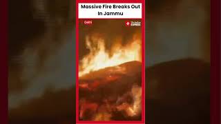 Massive Fire Breaks Out In The Ramnagar Forest Division, Jammu