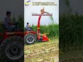 most popular tractor mounted silage harvester chopper