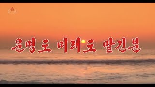 北朝鮮 「運命も未来も委ねた方 (운명도 미래도 맡기분)」 KCTV 2019/11/15 日本語字幕付き