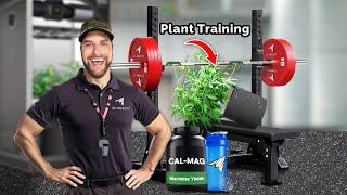 How to Train Cannabis for Bigger Yields | Scrog School Episode 22