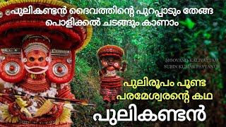 പരമശിവന്റെ പുലിരൂപം കാണാം കഥയറിയാം Pulikandan Theyyam Story പുലികണ്ടൻ #theyyam #lordshiva #tiger