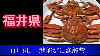 【福井県】 11月6日 越前がに解禁!!福井の旬の味覚を堪能した我が家