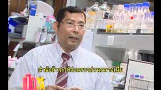 ชุดตรวจไข้หวัดใหญ่ 2009 - THAI Sub