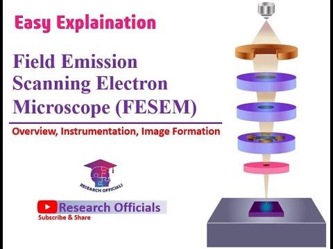 Field Emission Scanning Electron Microscope: Overview, Instrumentation ...