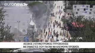 Λέσβος | Κτηνοτρόφος πυροβόλησε μετανάστες που πήγαν να κλέψουν πρόβατα