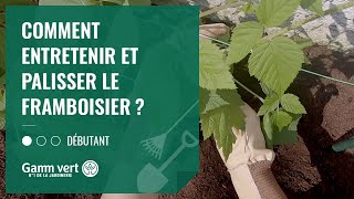 [TUTO] Comment entretenir et palisser le framboisier ? – Jardinerie Gamm vert