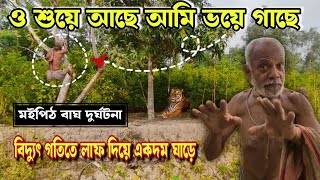 ঠিক কি হয়েছিল সেইদিন মৈপিঠ সুন্দরবনে দেখুন সরা সরি//tiger attack in  moipith Sundarban//tiger