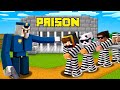 Villager Helped Me to Escape The Prison...