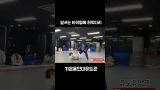 나온발차기 되치기(허벅다리아님) #유도기술