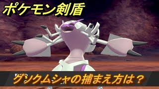 ポケモン剣盾　グソクムシャを捕まえる方法！オススメの場所は？天気は？ポケモン図鑑コンプへの道！　最新版【ポケモンソード・シールド】