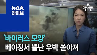 ‘바이러스 모양’ 中 베이징서 뿔난 우박 쏟아져[지금 세계는] | 뉴스A 라이브