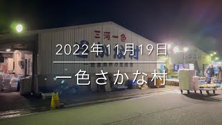 【全部見せます】巨大ブリの価格破壊⁉︎『一色さかな村』究極の朝市