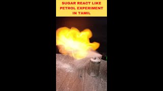 Sugar Makes Fire Science comedy Experiment Tamil #shorts #experimentintamil #experimentshortsvideo
