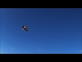 Pitts Model 12S Pitts Model 12S