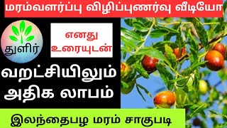 விழிப்புணர்வு வீடியோ மற்றும் இலந்தை பழம் சாகுபடி || Jujube tree cultivation in Tamil || துளிர்