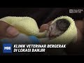 Klinik Veterinar Bergerak Di Lokasi Banjir | MHI (29 Disember 2021)