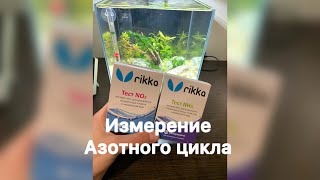 Азотный цикл. Азотистый цикл в аквариуме. 4 день после запуска аквариума