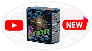 Orchid AC30-13-32  - Argento Feuerwerk | ULTRASFACTORY.COM