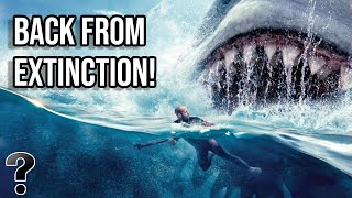 Dangers of the Megalodon Shark | Marathon