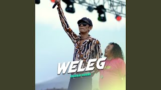 Weleg