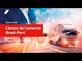 Evento virtual de la Cámara de Comercio Brasil-Perú