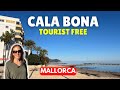 CALA BONA Calm Before the (Tourism) Storm in Mallorca (Majorca)