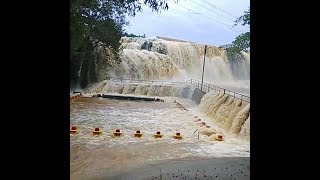 Heavy rain at kanyakumari|Floods in Thirparappu falls|