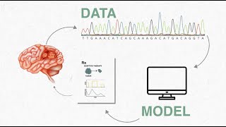 How will systems thinking help us cure cancer?