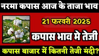 🔴कपास भाव मे तेजी / 21 फरवरी 2025 कपास के भाव /kapas rate today / cotton rate today / कपास  के भाव