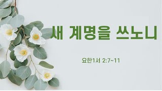 2024년 12월 15일 주일예배(설교)